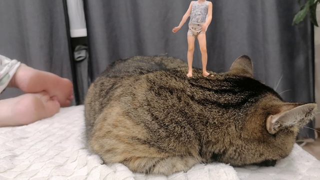 Я на кошке