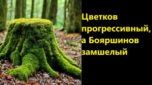 Цветков прогрессивный, а Бояршинов замшелый