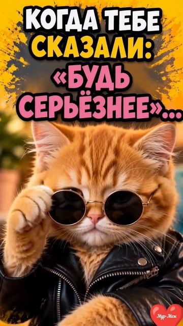 🐱😎 КОГДА ТЕБЕ СКАЗАЛИ: «БУДЬ СЕРЬЁЗНЕЕ»…