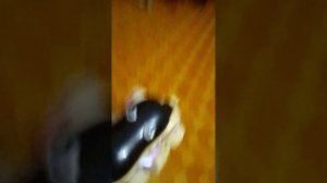 порталы