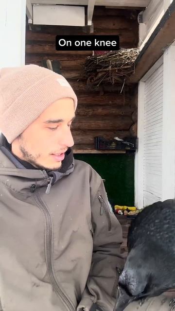 Умер автор YouTube-канала «Ворон ТV» и хозяин ворона Гоши Александр Чугайнов