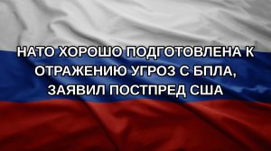 НАТО хорошо подготовлена к отражению угроз с БПЛА, заявил постпред США