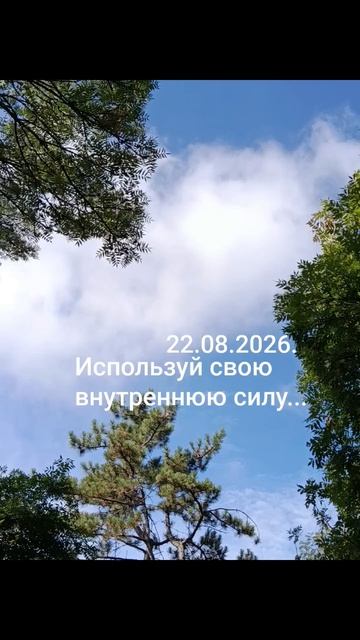 22.08.2026.☀️🌈✨Психологический аспект дня! Мудрость и осторожность! Использование внутренней силы!