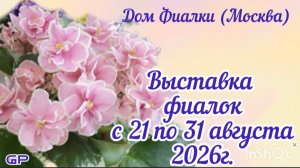 ФИАЛКИ-2026. Выставка с 21 по 31 августа 2026г. в Доме Фиалки (Москва).