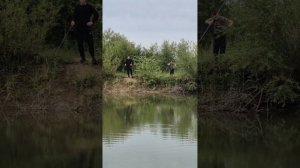 Охота на сазана. ч.2