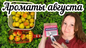 Август в деревне: мой урожай, яблочный спас, уютный дом и распаковка посылки из Франции🎁🍎🏠