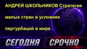 АНДРЕЙ ШКОЛЬНИКОВ Стратегия малых стран в условиях пертурбаций в мире