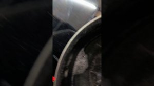 9967.mp4