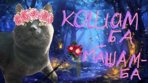 КОШАМБА-МАШАМБА! Трек на 35 котят. Кошка Мила говорящая кошка