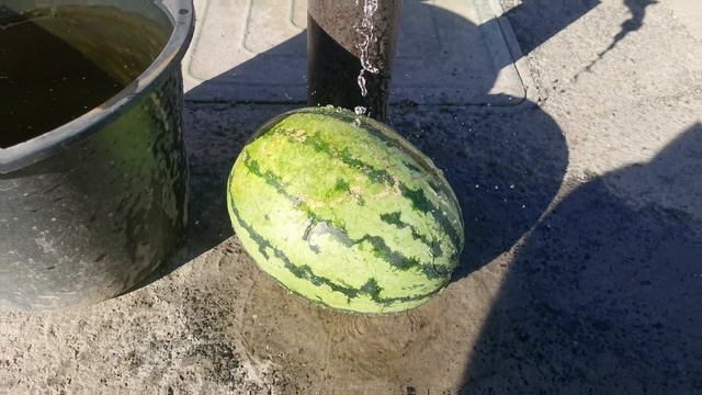 Арбуз под колонкой - лето жара