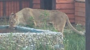 CPFU5923_21.08.2026_Видео от Светланы