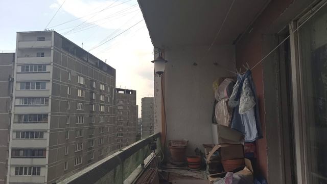 Погодные явления | 12-июн-2026