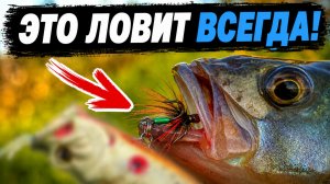 ПРОСТОЙ СЕКРЕТ СРАБОТАЛ! Применил хитрость и начался ЖОР на МЕЛИ! Рыбалка 2026