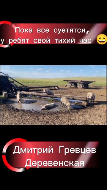 Пока все суетятся, у ребят свой тихий час 😄