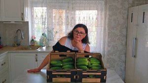 Заготовки на зиму! Солим огурчики