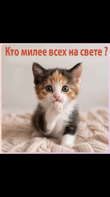 DKWX  - Разговоры в темноте   #animalshorts, #viral, #newmusic #catlovers #музыка #cat