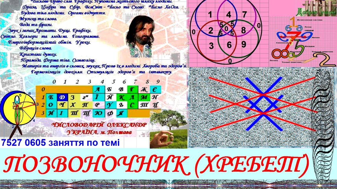 заняття 7527 0715 ПОЗВОНОЧНИК (ХРЕБЕТ)