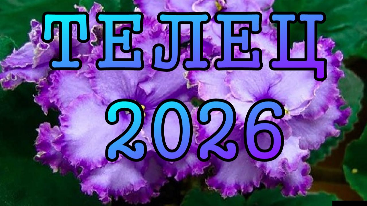 ТЕЛЕЦ таро прогноз на 2026 ГОД.