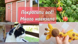 После операции- сразу вязать!😊 Красим дачу. Много кота и цветов🦊
