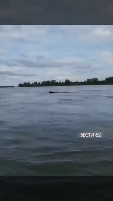 НЕВОНКА