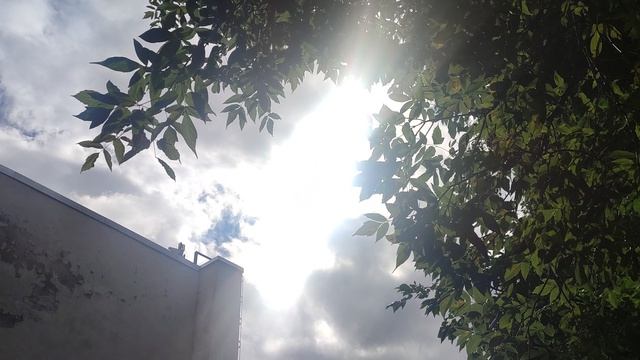 21 августа Ваганьковское кладбище возложение венков и цветов память