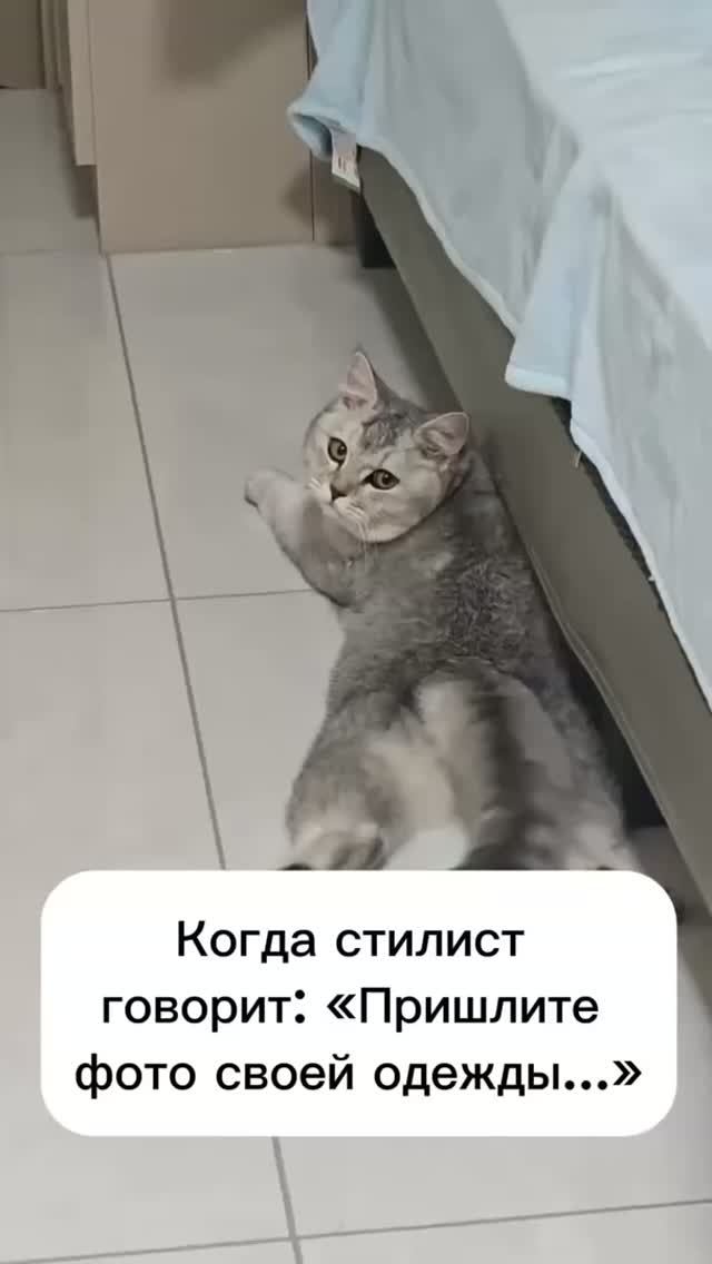 Когда стилист попросил прислать фото своей одежды...