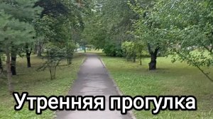 22-08-2026. Утренняя прогулка.