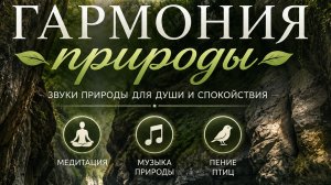 🍃 Открой это видео, когда устанешь от всего… | Звуки природы