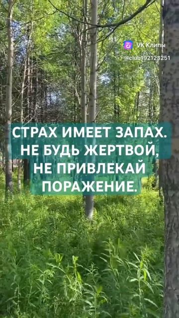 СТРАХ ИМЕЕТ ЗАПАХ