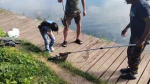 Поимка Карпа