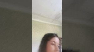 видео про Реборна