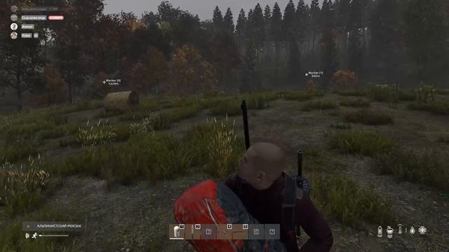 DayZ