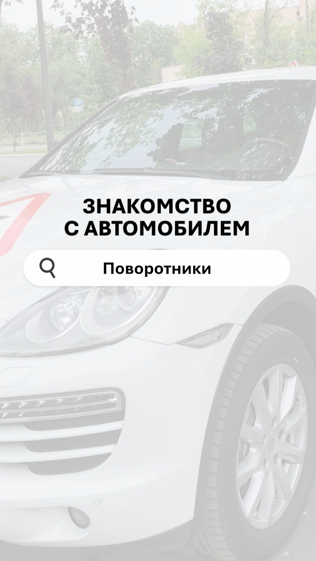 Поворотники — это язык дороги. Учимся говорить правильно