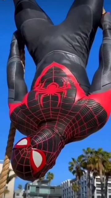 Человек паук.  

жизнь life spiderman человекпаук отдых