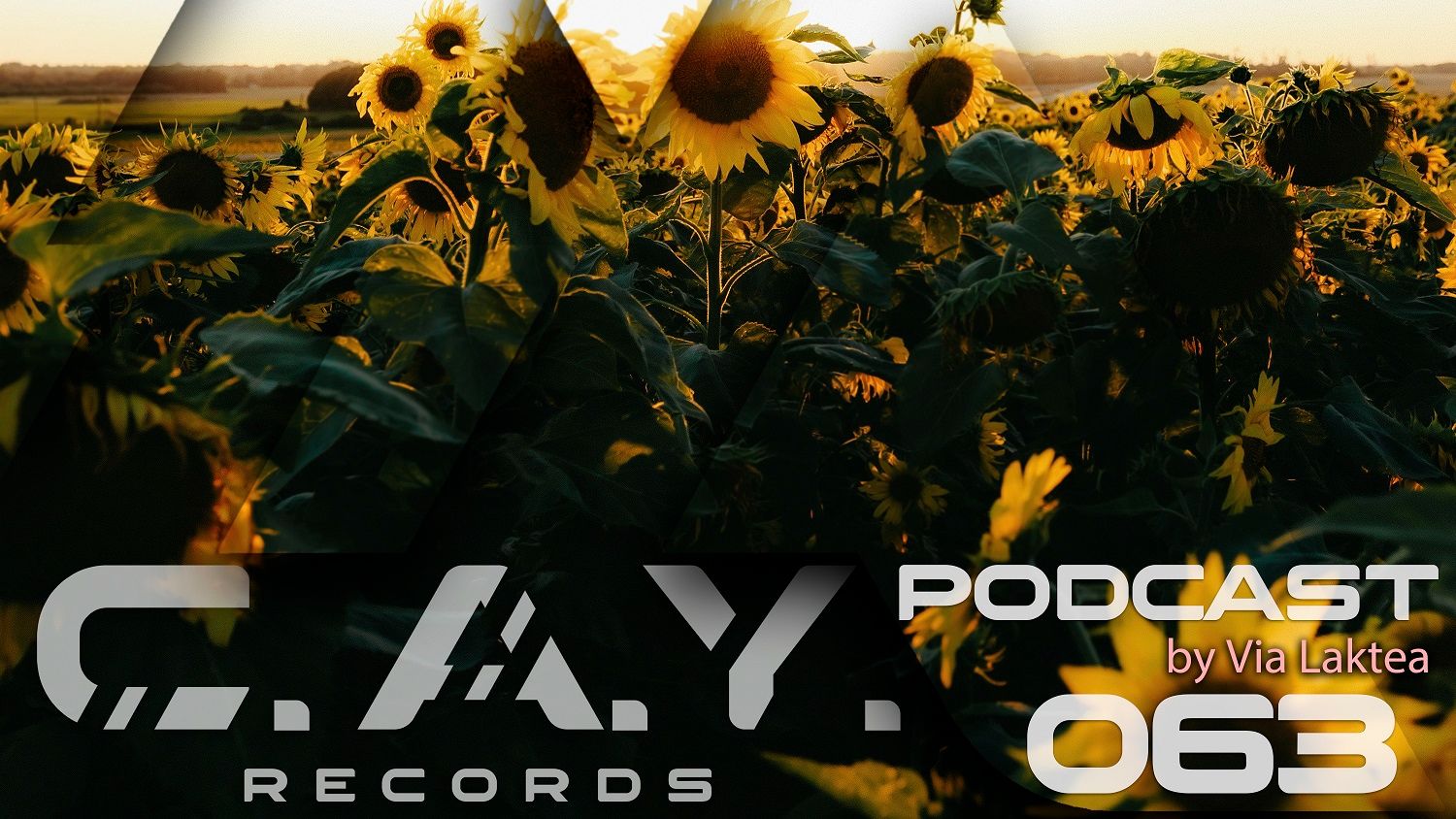 (063) C.A.Y. Records Podcast By Via Laktea