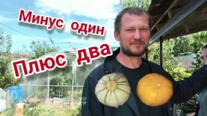 Убыло, но прибыло. Новости нашего подворья.
