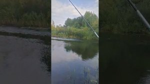 Момент из нашей жизни