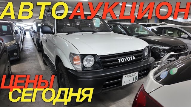 ЯПОНСКИЕ ТОРГИ АВГУСТ 2026