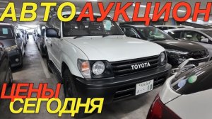 ЯПОНСКИЕ ТОРГИ АВГУСТ 2026