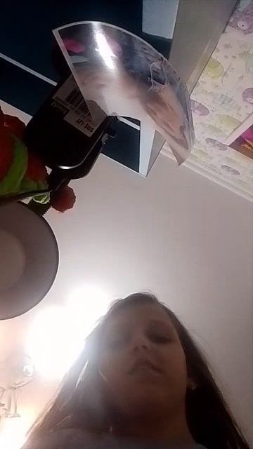 домик для грозокрыла.