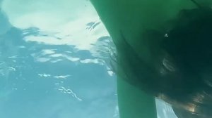 Плавание под водой и игры на солнце ☀️