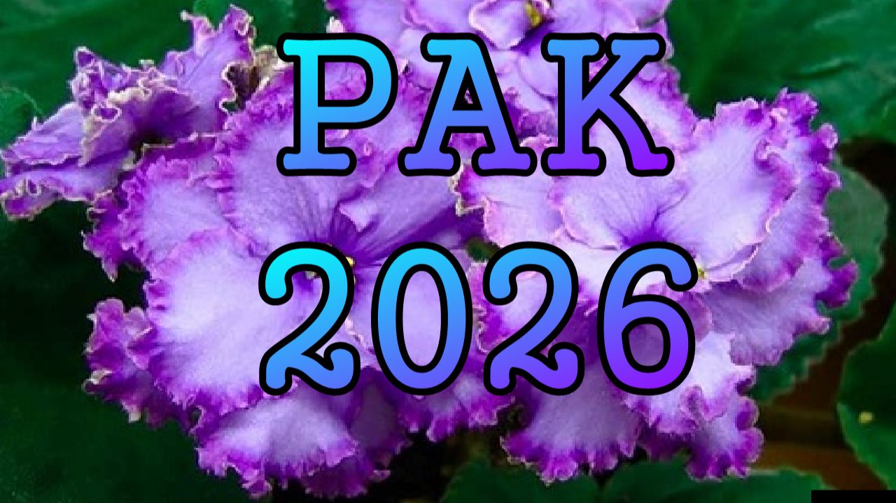 РАК таро прогноз на 2026 ГОД.