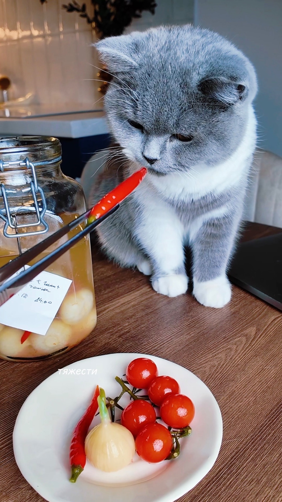 Каждый день ем ферментированные овощи 🥒