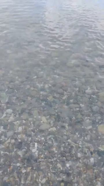 Море позитива 🌊 🤗👀😊 #влоги #море