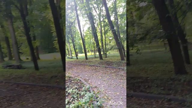 Санкт Петербург заброшенный особняк молодого любовника императрицы Екатерины Великой