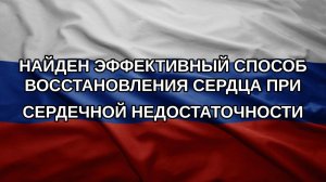 Найден эффективный способ восстановления сердца при сердечной недостаточности