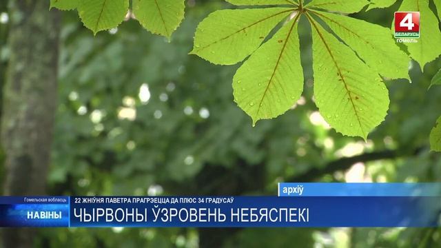 Красный уровень опасности объявлен на Гомельщине