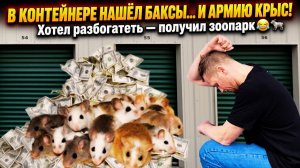 Я купил складское помещение за 800 долларов! И там нашёл , баксы и крыс !