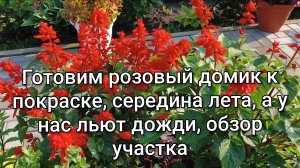 Утро на даче/Середина лета,а у нас дожди/Готовим розовый домик к покраске,планы поменялись.