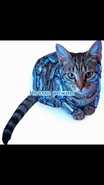 все режимы Мусойлы!Юкиша (говорящая собака)